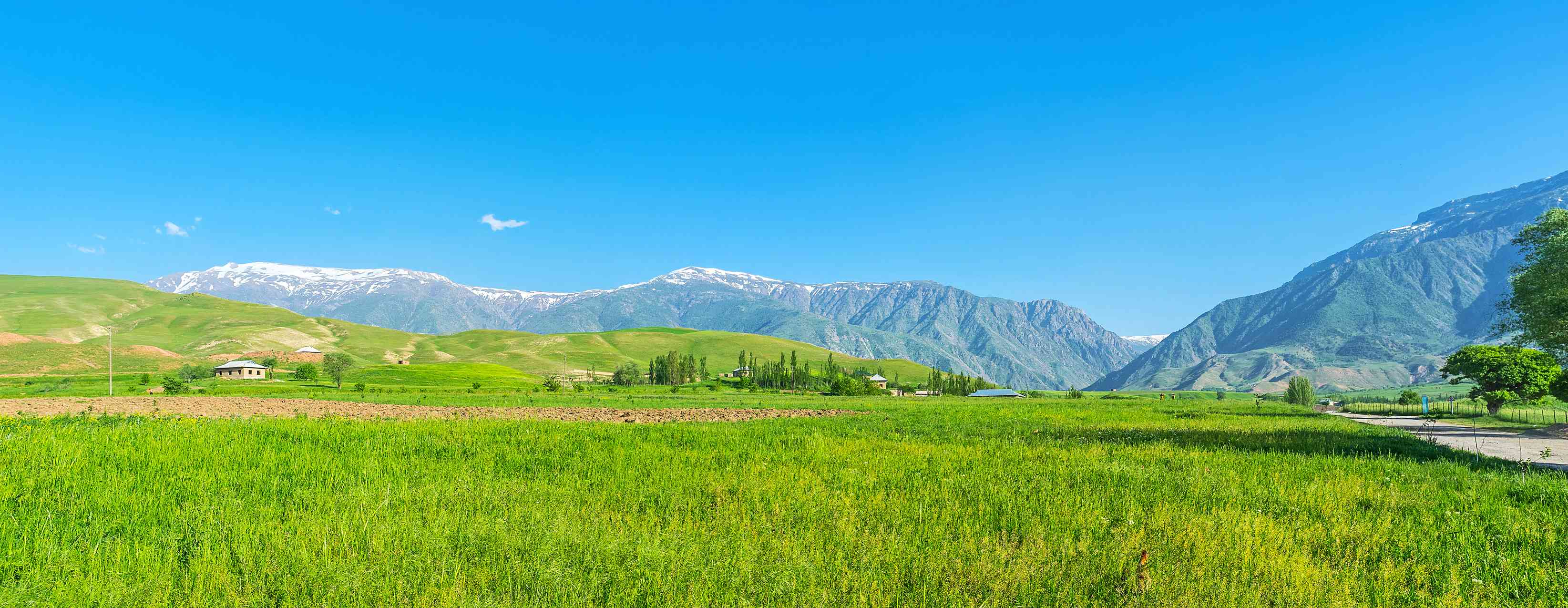 Green Meadow In Qashqadaryo